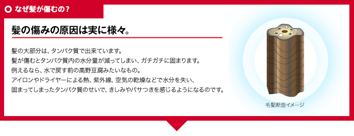 なぜ髪が傷むの？ 髪の痛みの原因は実に様々。