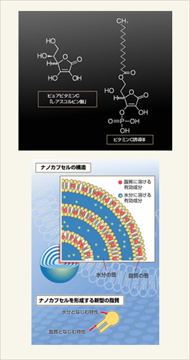 本物のビタミンCだけを高濃度配合