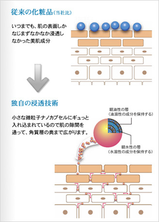 独自の浸透技術 ーナノカプセルー